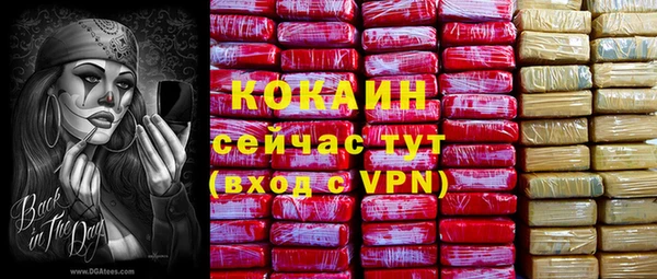 apvp Алексин