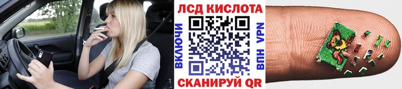 где купить   Мураши  Марки 25I-NBOMe 1500мкг 