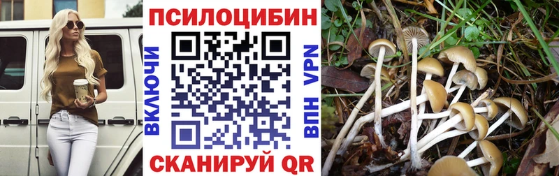 MEGA рабочий сайт  Мураши  Псилоцибиновые грибы мицелий 